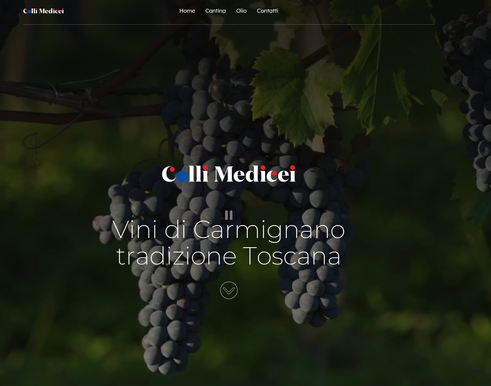 Home page del sito di Colli Medicei: grappoli in vigna con il logo e il titolo «Vini di Carmignano, tradizione Toscana»